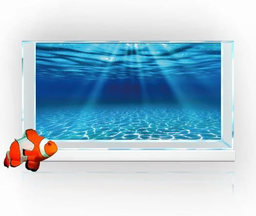 Natural Undersea Aquarium Background, Underwater Ocean Sunlight Fish Tank Background 24X16IN with 8 EVA Double-Sided Tape - color: Ocean, size: 24X16in/60X40cm