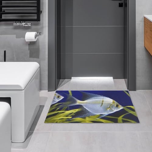 Outdoor Door Mat 15.7" X 23.6" Non-Slip Doormat Aquarium Angelfish Front Door Mats Quick Dry Welcome Mats for Outdoor Indoor Entrance Mat Home Decor Floor Mats for Patio - color: Aquarium Angelfish