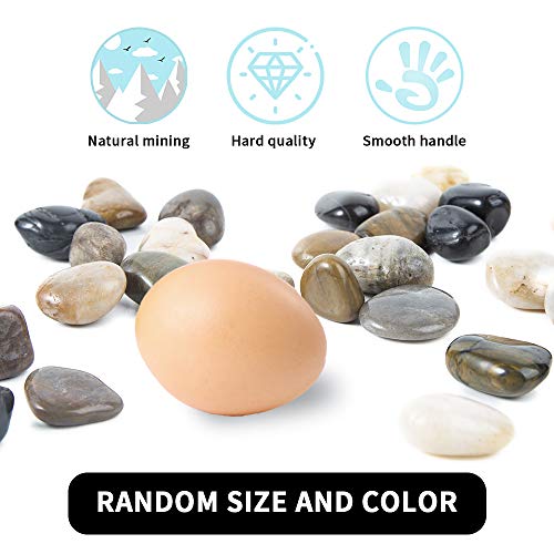 Pebbles Polished Gravel, Natural Polished Mixed Color Stones,0.5-1.2inch Small Decorative River Rock Stones 2 Pounds (32-Oz) - color: Mixed Color, size: 2 LB