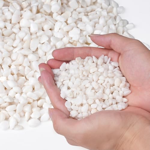 Pulovin 2.5 lbs White Aquarium Gravel, 1/5 Inch White Rocks for Plants, Small Pebbles for Vases, Succulents, Bamboo, Natural Decorative Pebbles for Plants Drainage, Cactus, Crafts - color: White