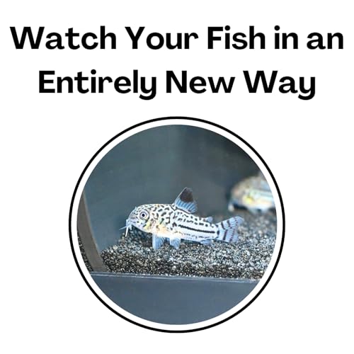 Aquarium Underground Two Hole Corner Cave | Viewing Fish & Shrimp Tunnel | Fish Tank Undergravel Hide Decor Decoration Hideout Perfect For Corydora Catfish, Kuhli Loach, Pleco, Betta Fish