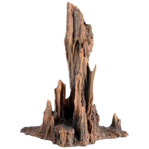 Underwater Treasures Petrified Wood - Large