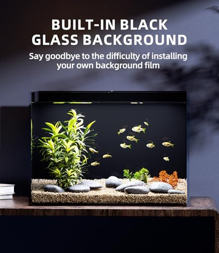 5 Gallon Glass Fish Tank Ultra Clear Rimless Aquarium, Built-in Black Background Rectangular Tank - size: 5 gallon tank only