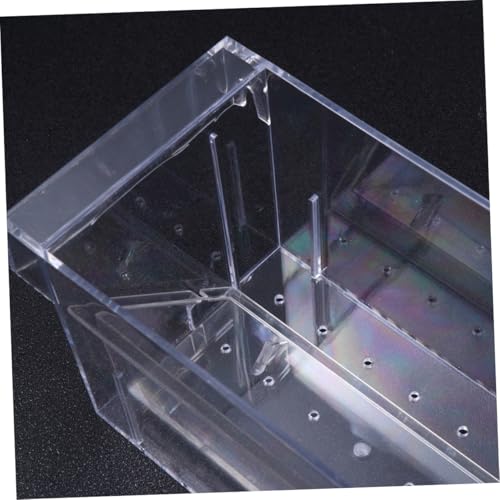jojofuny Aquarium Breeding Tank Fish Isolation Box Acrylic Fish Hatching Incubator for Guppy and Betta Suitable for Home and Tank Breeders