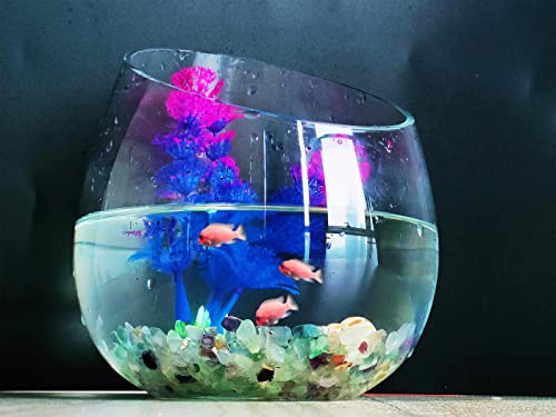 ZHIYUXI Crystal Fluorite Vase Filler, 0.22lbs, Polished Healing Chips for Decoration, Fish Tank Gravel, Succulent Plants, Home Decor - color: A# Fluorite, size: 0.22lbs
