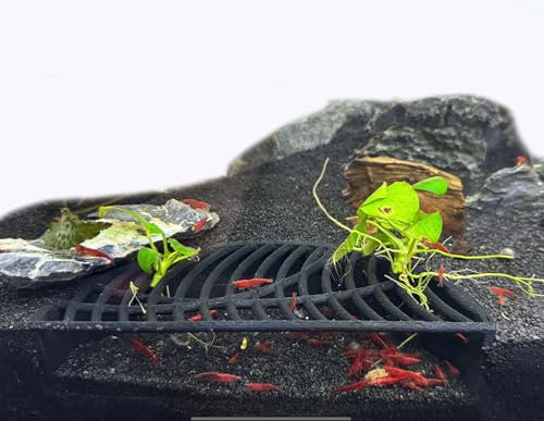 Shrimp Breeding Hide | Shrimp Cave | Shrimp Hide | Tunnel | Black - size: Halfmoon Hide