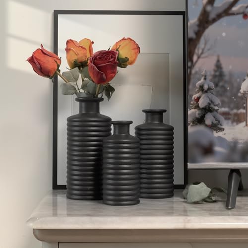 Black Ceramic Vases for Home Decor, Modern Farmhouse Frosted Semi Matte Textured Decorative Vase Set, Unique Vase for Entryway, Coffee Table, Shelf, Small Pampas Grass and Flowers - color: Black