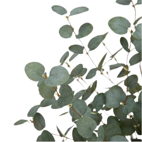 6 Pcs 27" Eucalyptus Stems Greenery Stems Eucalyptus Leaf Spray in Green Silk Plastic Plants Floral Artificial Plants for Home Party Wedding Decoration(Dark Green) - color: Dark Green - 6 Pcs