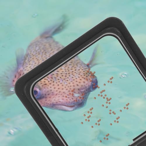 Mikikit 4pcs Reusable Fish Feeding Rings Aquarium Feeder Rings Floating Fish Food Corral for Tank Feeding Tropical