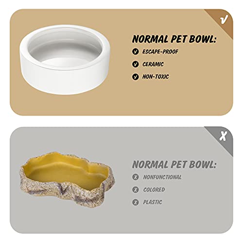 Reptile Food Dish Bowl, Worm Water Dish Small (2.75in) Lizard Gecko Ceramic Pet Bowls, Mealworms Bowls for Leopard Bearded Dragon Chameleon Hermit Crab Dubia Cricket Anti-Escape Mini Superworm Feeder - color: Orange, size: Small-1Pack