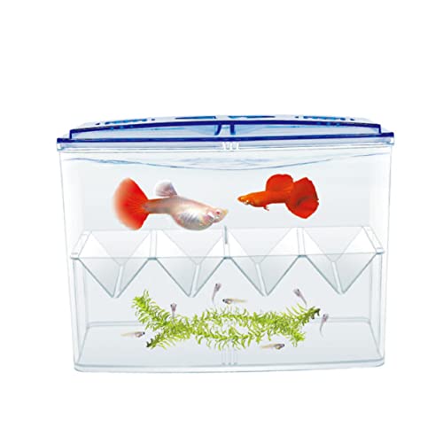 FRCOLOR 1pc Small Fish Hatching Isolation Box Freestanding Self-Floating Breeding Tank for Betta and Shrimp Easy to Clean Safe for