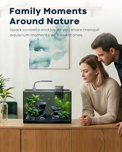 Wonderfactory 5 Gallon Small Aquarium Set Glass Fish Tank 6 Gallon, Starter Kit with Heater Water Pump Cleaning System Filter Bright Light Rocks Gravel Cleaning Tool, Clear Rimless Betta Plants - size: 5 Gallon