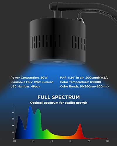 Lominie Aquarium LED Light, Reef Coral Light Saltwater Aquarium Light Full Spectrum with Remote Control Gooseneck for 10 Gallon Fish Tank - color: A120 Saltwater