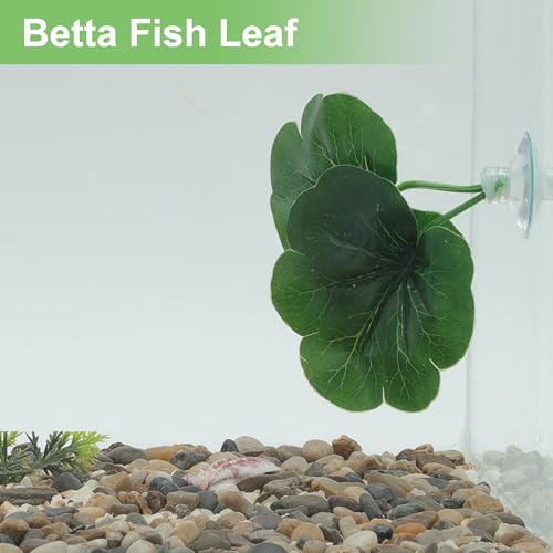 Betta Fish Leaf, Natural Habitat Simulation for Betta Spawnings Grounds, Betta Spawnings Leaves, Resting Bed, Double Leaves, Green