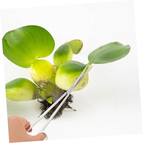 GANAZONO Aquarium Accessories Tool Set Scissors Tweezers and Spatula Designed for Aquascaping and Maintenance