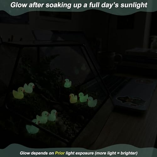 100 Pcs Glow in the Dark Mini Resin Ducks, Tiny Luminous Figurines, Small Plastic Animals for Miniature Garden, Aquarium, Micro Landscape, DIY Crafts, Potted Plant and Moss Décor - color: Luminous