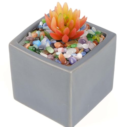 WAYBER Colorful Opal Pebbles, 1 Lb/460g Decorative Crystal Stones Rocks Sea Glass Gravel Sand for Aquarium/Turtle Tank/Succulent Plants/Flowerpot/Vase Decoration - color: Colorful Opal, size: 1 Pound