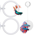 2 PCS Betta Fish Exercise Ring, 2 Exercise Training Ring and 1 Fish Mirror with Balls Betta Enrichment Toys with Suction Cup for Small Medium Fishes Bettas Aquarium, White
