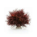 Sea Lily Crimson - color: Crimson, size: 1 Count (Pack of 1)