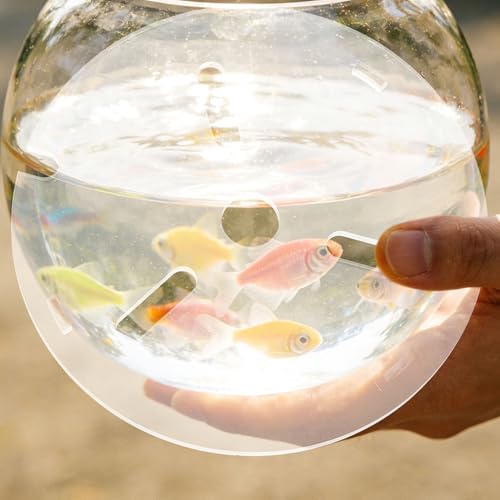 Clear Aquarium Lid: Rimless Acrylic Fish Tank Top Cover, Cat-Proof Anti-Jump Aquarium Hood Terrarium Lid with Holes Feeding Betta, Reptiles, 20cm/8in Dia.