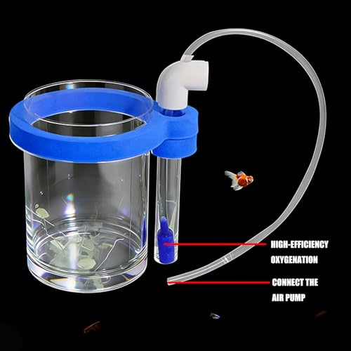 Protective Acrylic Incubator Box Safe Fry Rearing Container Suitable for Guppy & Fish Fry Featuring Sponges Cushioning Suspended Fish Hatchery