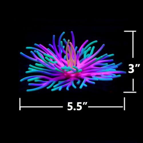 Silicone Fish Tank Accessories Decorations, Aquarium Decor Ornaments for Betta Fish