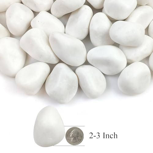 40lbs White Rocks for Landscaping,2-3 Inch Decorative Pebbles for Plants,River Rocks for Backyard,Flower Beds, Indoor Fountains, Paths, Aquarium Vase,Outdoor Garden - color: Natural White, size: 2-3 Inch(40LB)