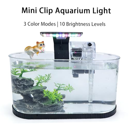 Fish Tank Kit, Small Aquarium Starter Tank with Filter and Light, Acrylic Nano Desktop Tank with Color-Changing LED & Decor - Complete Starter Kit for Betta Fish Shrimp Guppy Goldfish Beta - color: BLACK