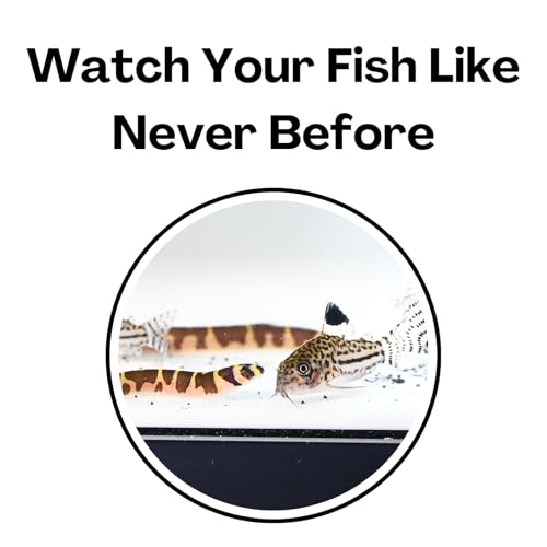 Aquarium Underground Tunnel Cave | Viewing Fish & Shrimp Under Gravel Tunnel | Fish Tank Decor Decoration Hideout Perfect for Corydora Catfish, Kuhli Loach, Clown Loach, Pleco (White) - color: White