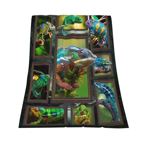Chameleon Blanket Super Soft Warm Fluffy Flannel Cute Reptile Throw Blanket Cozy Fuzzy Plush Bedding Blanket Gift for Boys Girls Kids Teens Adults Couch Sofa 60"x50" - color: Chameleon, size: 60"x50"