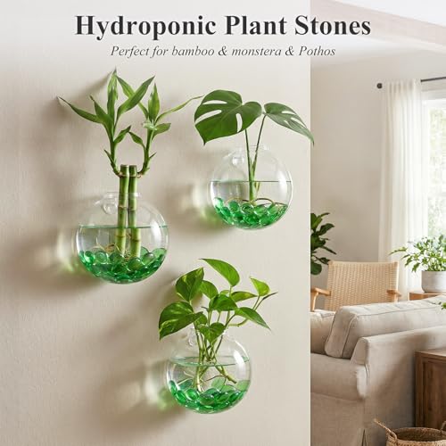 DomeStar 2LB Green Flat Glass Marbles, Decorative Marbles for Vases Aquarium Pebbles Fish Tank Rocks Vase Fillers DIY Crafts Table Scatter Decor - color: Green
