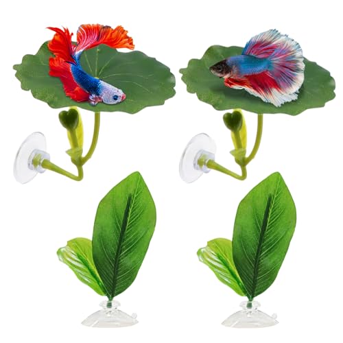 Betta Resting Leaf – Artificial Aquarium Plant Bed, Fish Tank Sleeping Pad | Soft Floating with Strong Suction Cup Support for Betta Comfort Relaxation