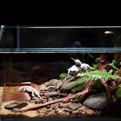 4 Pcs Turtle Water Trays with Ramp,Leaf Tortoise Food Water Bowl with Tweezers,Reptile Turtle Habitat,Tortoise Bath Bowl,Turtles Habitat Accessories,Waters Dish for Reptile Tank,for Indoor Aquariums