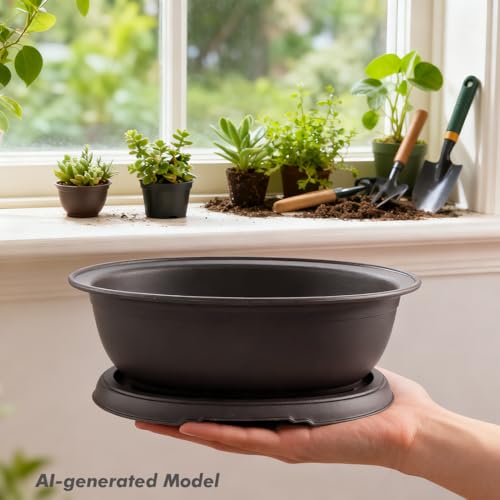 MUZHI 3 Pack Oval Bonsai Training Pot with Drainage Tray, Matte Finish Succulent Growing Pot for Home Garden Plant Outdoor Indoor Container (7.2" Medium) - size: 7.2" Medium