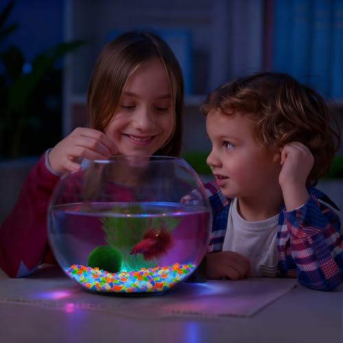 900pcs Glow in the Dark Rocks for Outdoor Garden & Aquarium – Luminous Stones for Landscaping, Pathway, Patio, Driveway, Walkway, Fish Tank, Plant Pots(Multicolor) - color: Multi