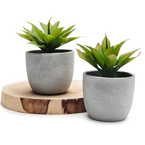 Kurrajong Farmhouse Artificial Plants Indoor | Set of 2 Fake Plants for Desk Decor | Artificial Succulents in pots | Fake Succulents| Faux Plants Indoor | Faux Agave for Shelf Decor
