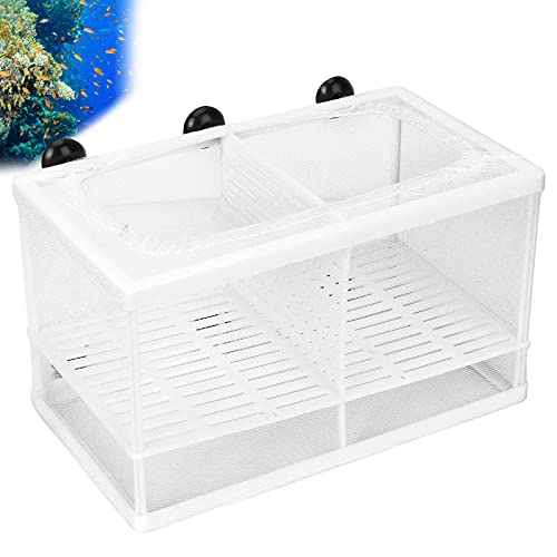 Fish Breeding Aquarium Box, Multifunctional Fish Breeder Box for Small Fish, Large with Partition - size: Large with partition