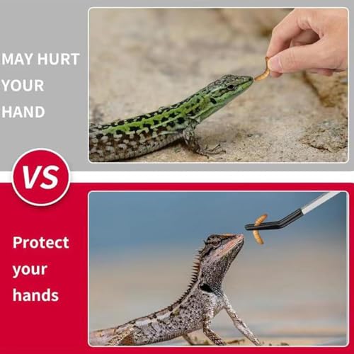3PCS Rubber Tip Feeding Tongs for Reptiles,Reptile Feeding Tool Set,Long Aquarium or Craft Tweezers,Bearded Dragon Reptile Gecko Frog Snakes Tank Enclosure Accessories,Terrarium Supplies