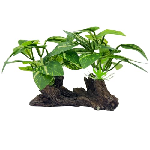 Aquarium Driftwood, Natural Fish Tank Decor for Betta, Reptile Hideout & Terrarium Ornament, Type-C - size: Type-C