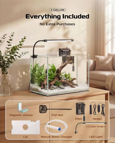 Glass Fish Tank Kit, 5 Gallon Betta Fish Tank Aquarium Starter Kit with Filter, Lights, Lid, for Betta, Goldfish, Small Fish or shrimg，Clear - color: Transparent, size: 5 Gallon