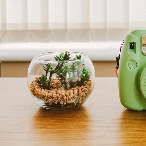 2 lbs Aquarium Gravel, 3-6mm Fish Tank Gravel, Succulent Cactus Pea Gravel for Indoor Plants, River Rocks for Gardening, Flower Pots, Vase Fillers, Garden Landscaping - size: 3-6mm
