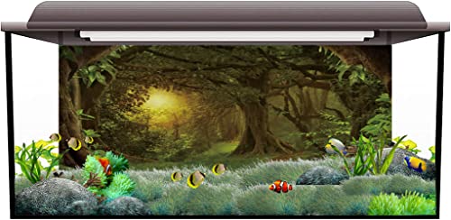 AWERT 30x18 inches Psychedelic Forest Terrarium Background Dim Old Trees Woodland Reptile Habitat Background Green Rainforest Aquarium Background Vinyl Background - size: 30x18in/75x45cm