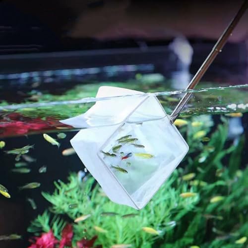 Aquarium Net with Extendable Long Handle, Adjustable Wastes Skimming Cleaning Tools Nylon Fishing Mesh Nets with Long Plastic Handle - color: round, style: S