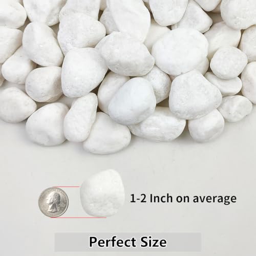 YISZM 5lb White Pebbles for Indoor Plants, 1-2 Inch Natural River Rocks, Snow White Decorative Stones, Ideal for Fish Tank, Vases, Crafting, Home Decor and Garden Landscaping Rocks - size: 5 Pounds, style: 1-2 Inch