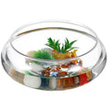 Transparent Acrylic Aquarium .52X9.52X3.93In Desktop Betta Fish Bowl with Clear Design for Home Office Decor and Aquatic Plant Display