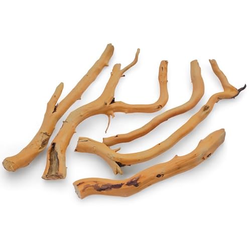 Azil Natural Driftwood Root Mix (5 pcs) – 100% Natural Driftwood for Aquarium, Reptiles, Terrariums, Vivariums, Aquascaping & Planted Tanks (Size: 7″–10″ / 17.8–25.4 cm) - size: root mix 7'' - 10''