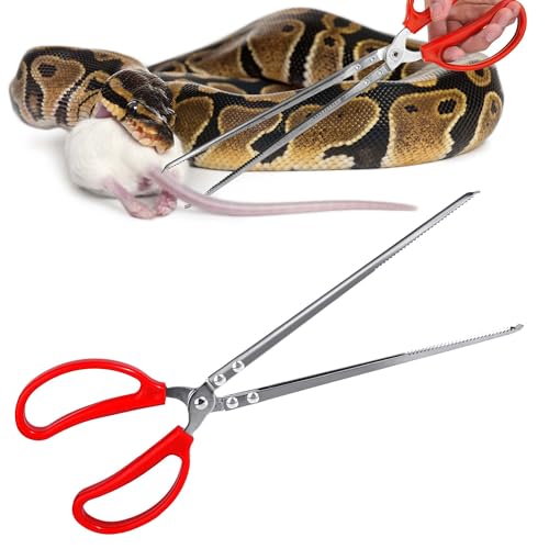 Snake Feeding Tongs,15 Inch Reptile Feeding Tongs,Extra Long Large Tweezers for Corn Ball Python Accessories,Bearded Dragon Tank Accessories,Pet Terrarium Supplies for Leopard Crested Gecko,Lizard - size: 1PCS