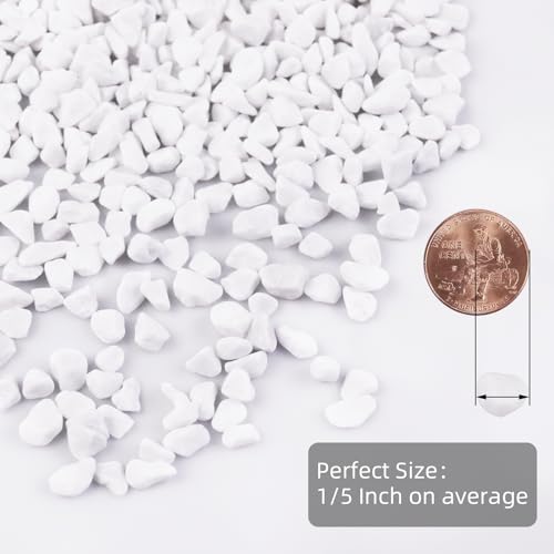 5lb River Rocks Polished Silica Gravel for Plants Garden, Decorative Pebbles Ideal for Fish Tank, Vases, Succulents, Crafting, Home Decor and Garden Landscaping, Snow White(0.2-0.3”) - color: White Large, size: 5LB