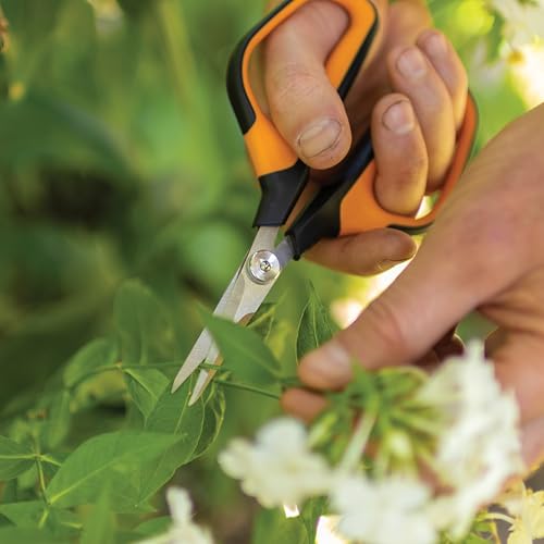 Fiskars Comfort Loop Pruning Snips, Garden Gifts for Women, Extra Large SoftGrip Handle, Yard and Garden Tools 7", Orange/Black - style: Pruning Shears (Comfort Loop Handles)