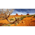 AWERT 30x18 inches Reptile Habitat Background Orange Desert Terrarium Background Polyester Background - size: 30x18in/75x45cm